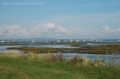 hayling island views landscape-070